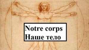 Notre corps - Наше тело (Словарный запас на французском)