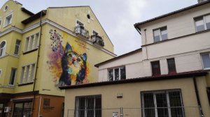 Знакомьтесь - зеленоградские коты и кошечки