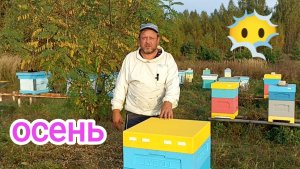 Сентябрь на пасеке, зимовка пчёл близко. Пчеловодство!