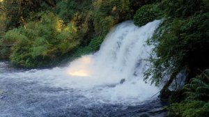 Горный водопад со звуками птиц Расслабляющие звуки водопада