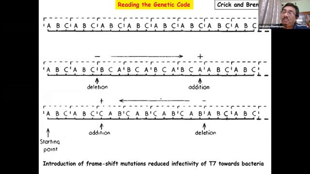 CMB Lecture 24 смотреть онлайн