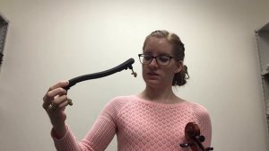 Viola - Setup and Posture