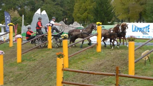 DE SCHUTTER Jeroen, BEL, WCH Ponies, Pau 2013, Pony Team, Marathon, O 2 смотреть онлайн
