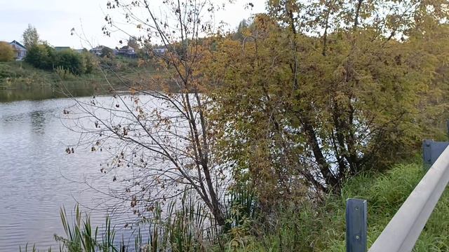 Болотное НСО