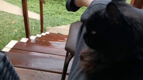 Смотреть видео онлайн