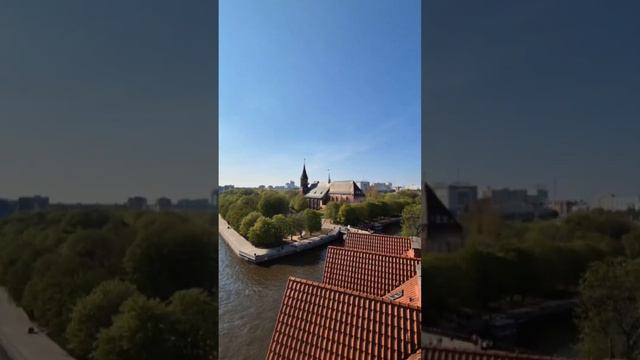 остров Канта. Калининград. #shorts #travel смотреть онлайн