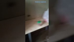 Карел вновь навестил Непера