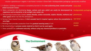 IELTS Vocabulary 8 (Topic: Environment)