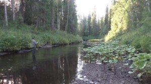 Рыбалка на Хариуса.Речка полная ГОРБУШИ