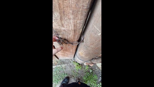 мой день на даче смотреть онлайн