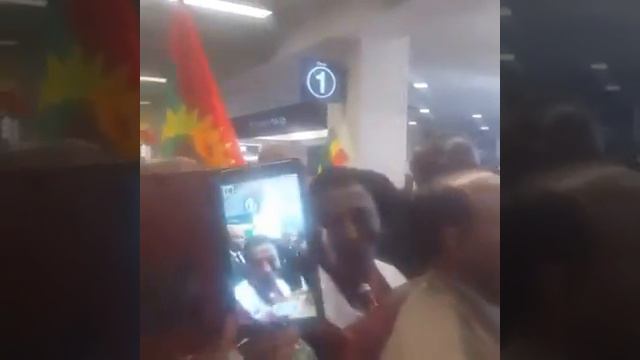 FAYYISAA LILESA ATLET QOFA OSOO HIN TAANEE September 18, 2016 смотреть онлайн