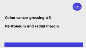 Colon cancer grossing #3 - Peritoneum and radial margin
