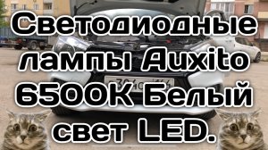 Диодные лампы в Дхо Auxito 6500К LED. В Весту.