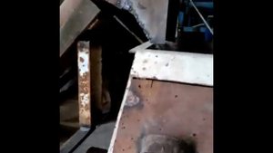 Стартовый Комбикорм! Из Гранулы В Стартовую Крупку! Starter Feed! From Pellets To Starting Krupka!