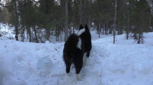 Ушли в ТАЁЖНУЮ ИЗБУ/ Много ли для счастья надо?