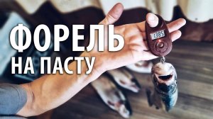 Ловля форели на сырную пасту Berkley. Платная рыбалка на РК "Посейдон" - Степановские пруды.