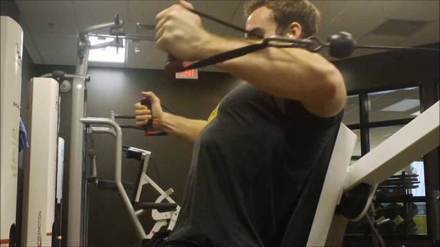 BajheeraIRL - Solid Chest Day & Physique Progress - Feeling Lean & Strong! смотреть онлайн