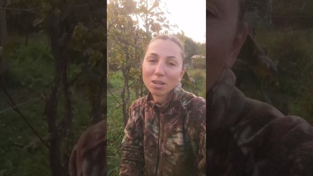 Дачница.mp4
