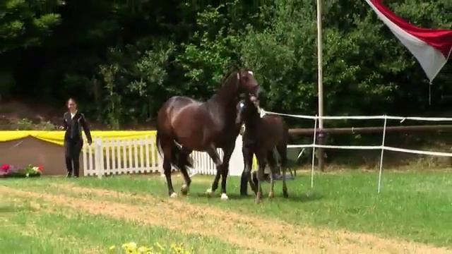 88 Davvero смотреть онлайн