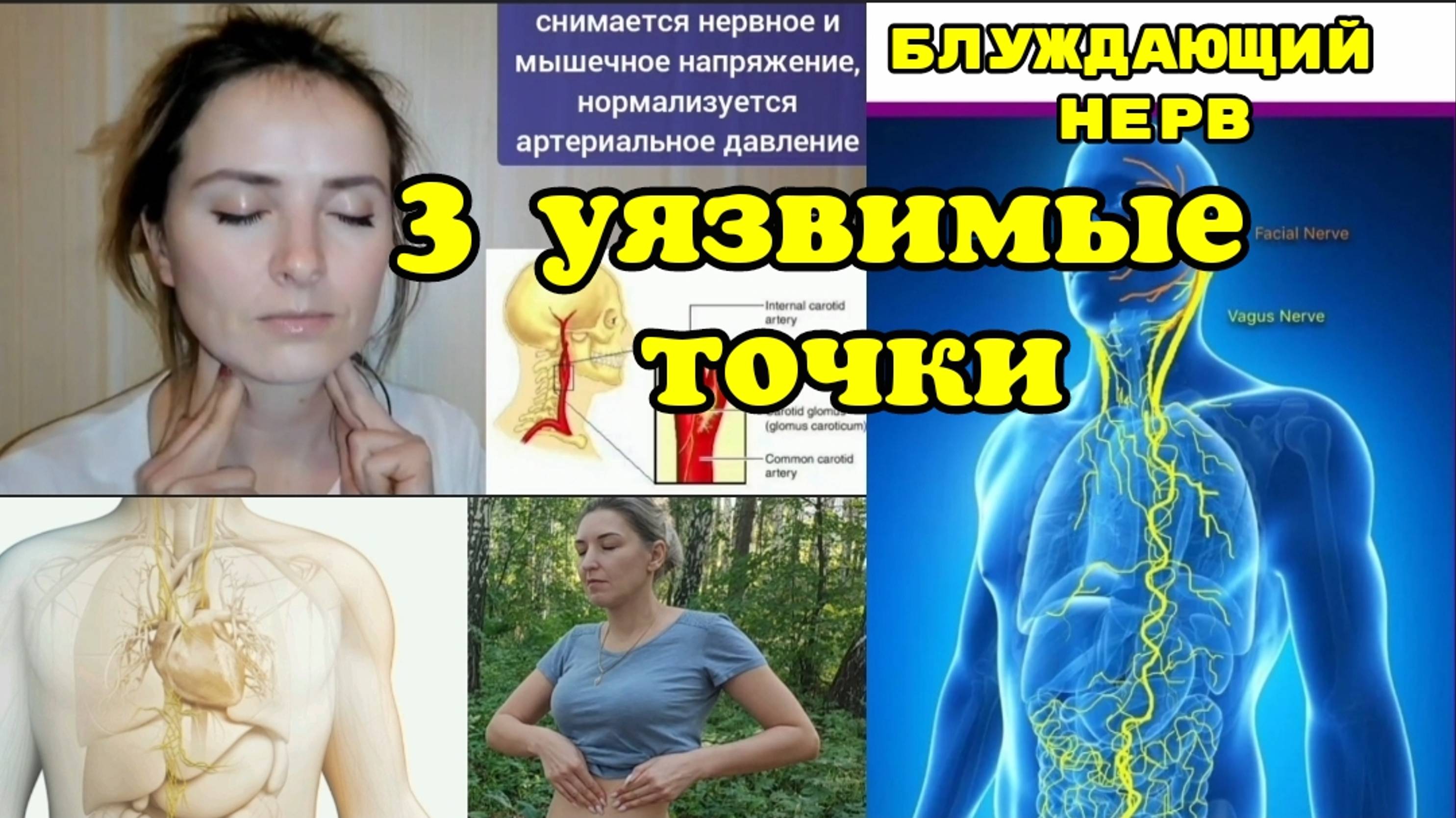 Мозг, шея, сердце, лёгкие, кишечник погибают из-за зажима блуждающего нерва. Упражнения