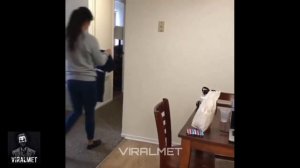 Scare Cam funny video compilation July 2020 - Try not to laugh challenge  #1