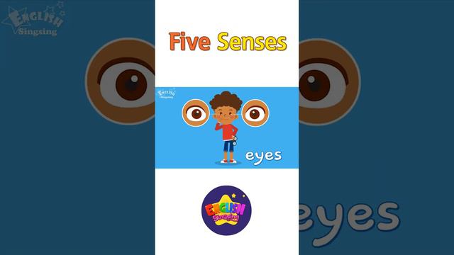 Kids vocabulary - Five Senses