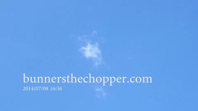 Pikachu Is A Free Spirit смотреть онлайн