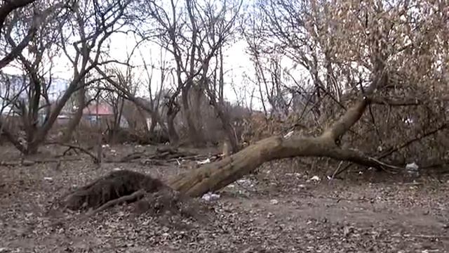 Парк в Рязани заметно похорошел