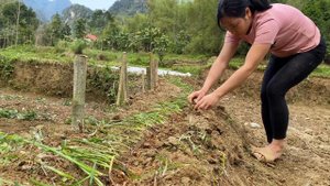 Life of a 17-Year-Old Single Mother - Pao gives fish to Huong-Bon rides a bicycle for the first tim