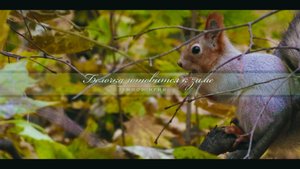 Белочка готовится к зиме