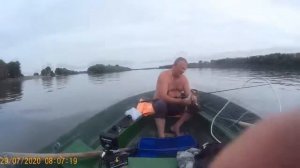 Лес и Рыба  июль 2020 часть-2.