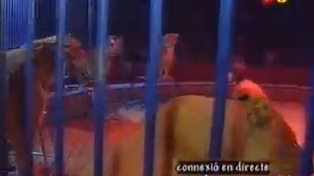 la cosa nostra el paco al circ Circ 2 смотреть онлайн