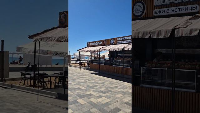 Саки. База Прибой, утро #travel #саки смотреть онлайн