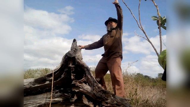 O tostão de chuva - Lucas Evangelista смотреть онлайн