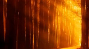 ОСЕННЯЯ МЕЛОДИЯ