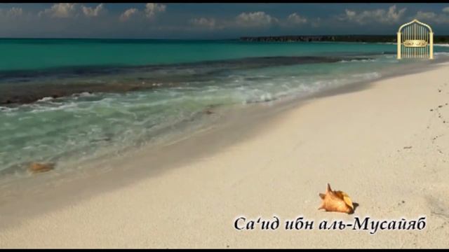 14. Са‘ид ибн аль-Мусайяб смотреть онлайн