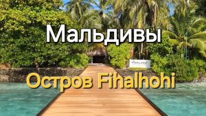 Мальдивы в ноябре. 22 серия. Утренняя прогулка по острову Fihalhohi. Огромные рыбы у пирса.