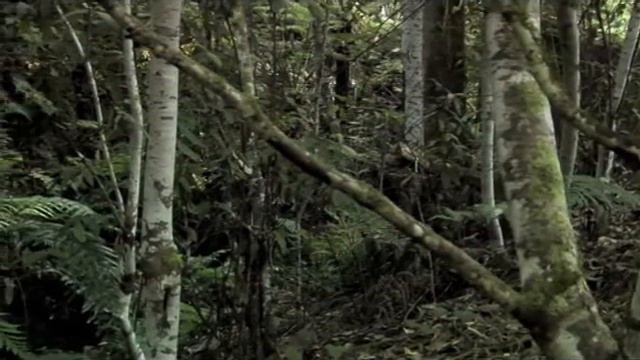 Travel TV- Travel Photography