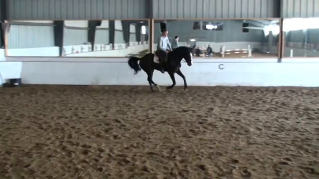 5 yr old SLF Springfield with Karl Brocks
