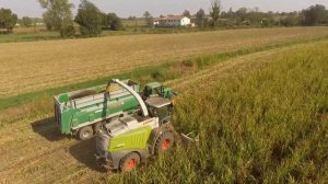 CORN SILAGE / CLAAS JAGUAR 970 / VIGANÒ / AZIENDA AGRICOLA CAIRATI