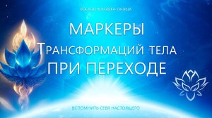 Маркеры трансформации тел при Переходе