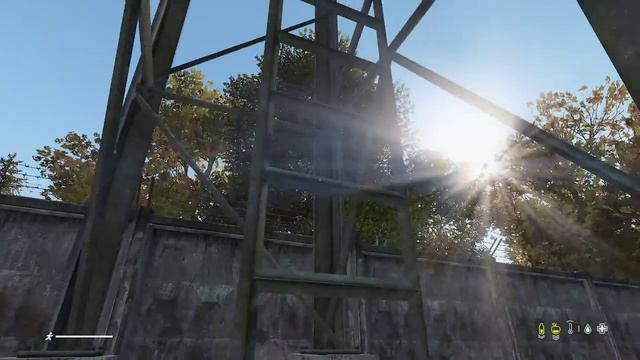 Dayz