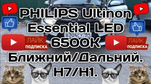 PHILIPS Ultinon Essential LED 6500K H7/H1 в Весту.