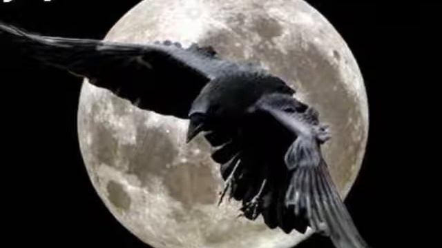 Fifth of beethoven soulwax vs daddy girl feat JDj смотреть онлайн