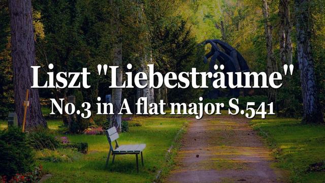 Liszt "Liebesträume" No.3 in A flat major S.541 | Aldo Ciccolini -Piano | Repeat 5 times смотреть онлайн