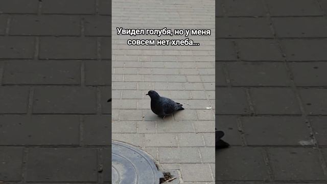 И грустно и вкусно 🕊️