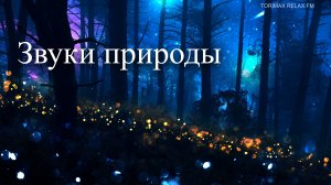 Атмосферный звук ночного леса _ Звуки природы _ асслабляющие звуки для сна