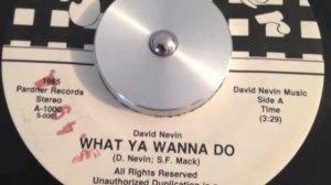 David Nevin "what ya wanna do"