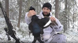МЕДВЕДЬ КРУЖИТ У ИЗБЫ. ОХОТА С МЕЛКАШКОЙ НА КОСАЧА
