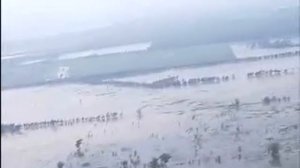 aerial footage of hurricane gustav flooding in central louisiana